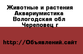 Животные и растения Аквариумистика. Вологодская обл.,Череповец г.